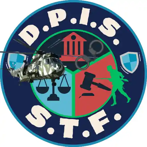 DPIS STF Logo